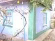Buy a house, st. Lenina, Ukraine, Nikolaevka, BelgorodDnestrovskiy district, Odesa region, 5  bedroom, 100 кв.м, 311 000 uah
