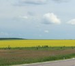 Buy a lot of land, Objezdnaya-doroga, Ukraine, Odesa, Malinovskiy district, , 1 uah